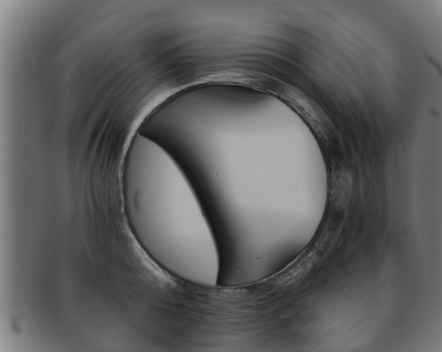 X0000092000808200709061239