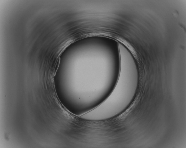 X0000092000809200709061239