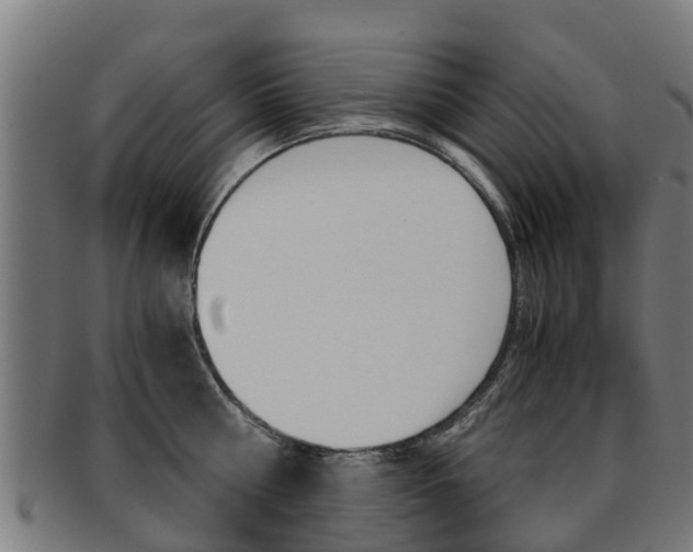 X0000092000810200709061239