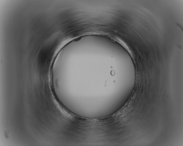 X0000092000811200709061239