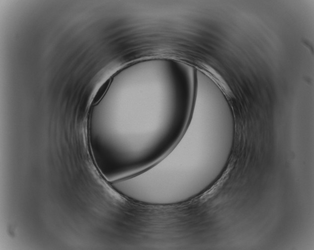 X0000092000812200709061239