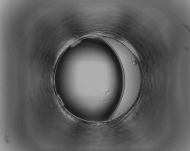 X0000092000813200709061239