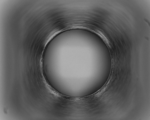 X0000092000814200709061239