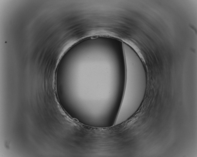 X0000092000815200709061239