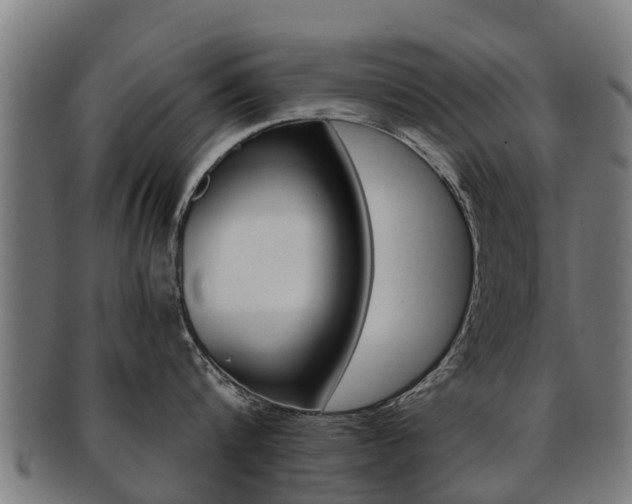 X0000092000816200709061239