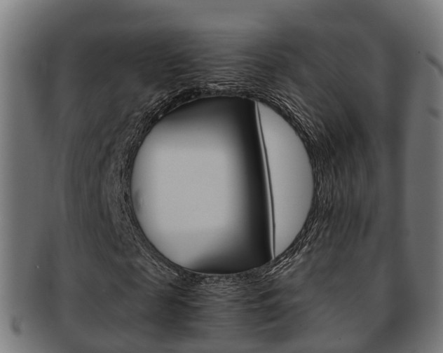 X0000092000817200709061238