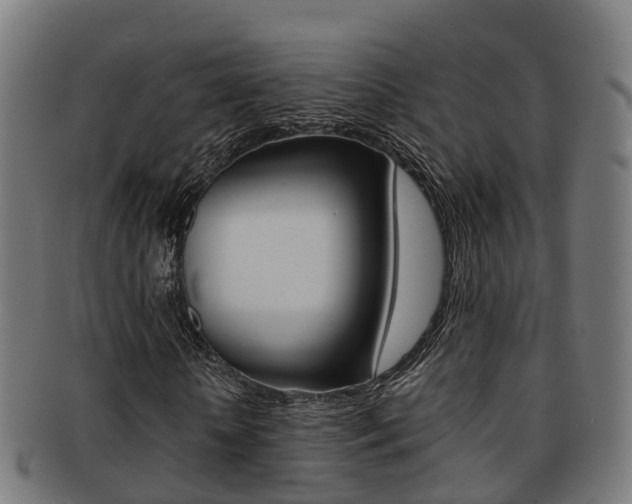 X0000092000818200709061238