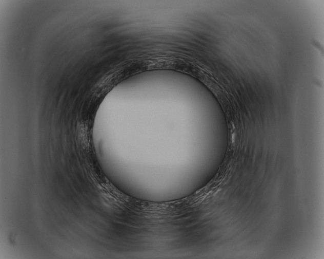 X0000092000819200709061238