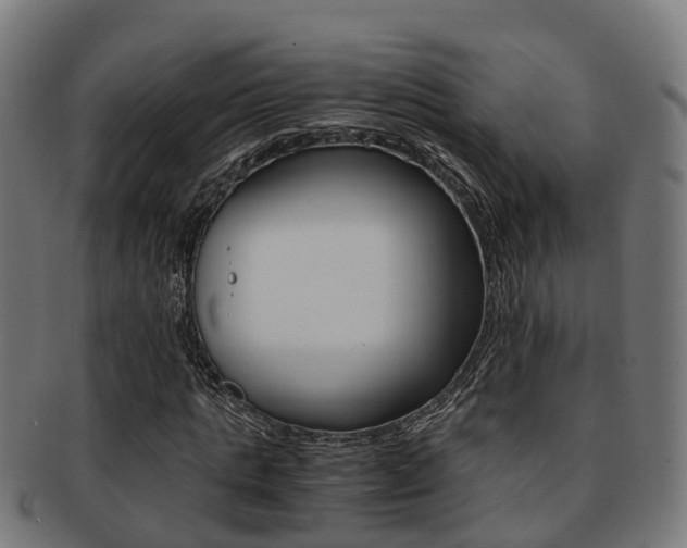 X0000092000821200709061238