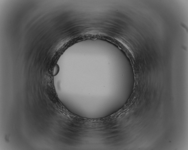 X0000092000823200709061238