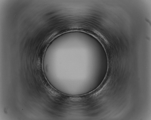 X0000092000825200709061238