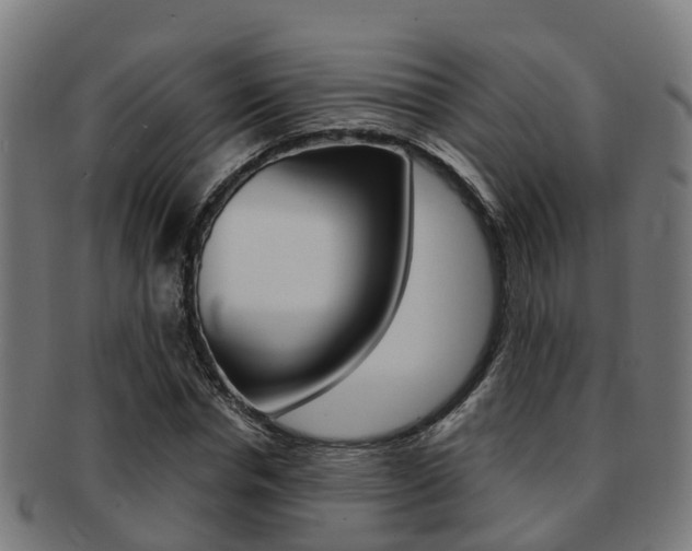 X0000092000826200709061238