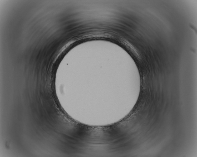 X0000092000828200709061238