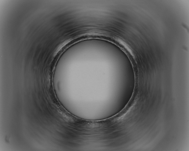 X0000092000829200709061238