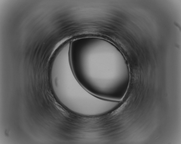 X0000092000830200709061238