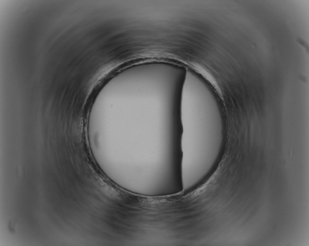 X0000092000831200709061238