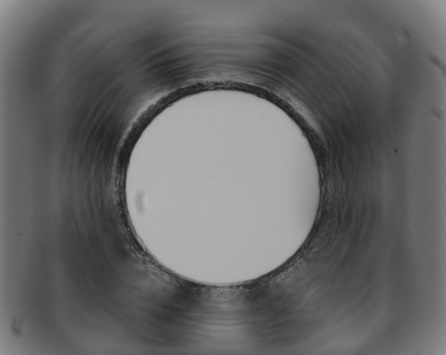 X0000092000832200709061238