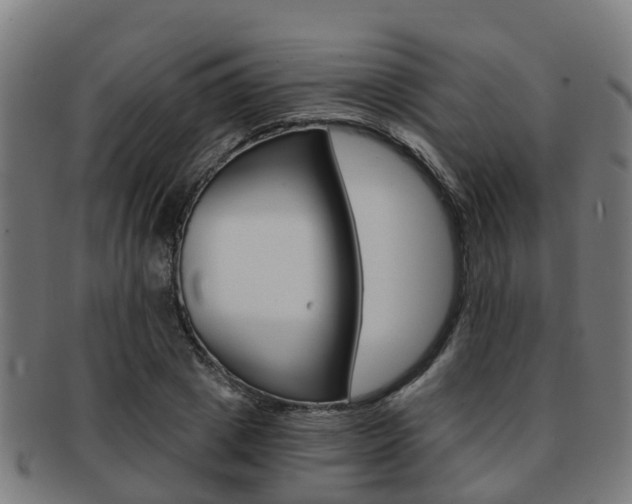 X0000092000833200709061238