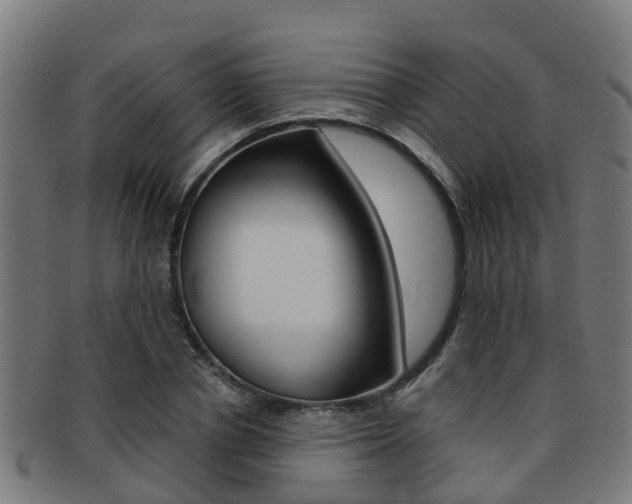 X0000092000834200709061238