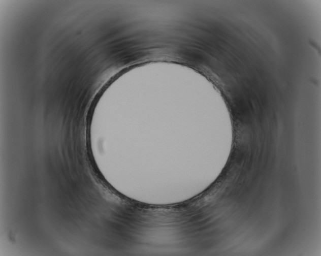 X0000092000836200709061238