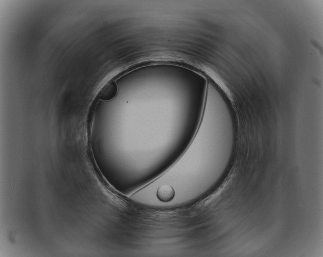 X0000092000837200709061238