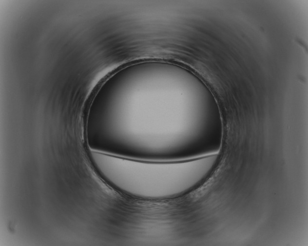 X0000092000838200709061238