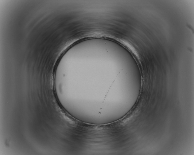 X0000092000839200709061238
