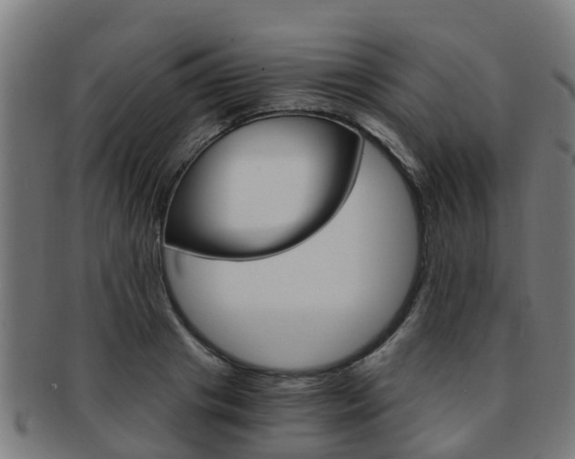 X0000092000841200709061238