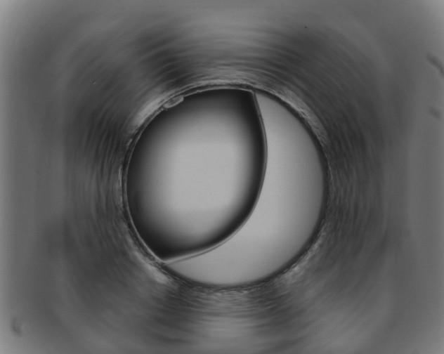 X0000092000842200709061238