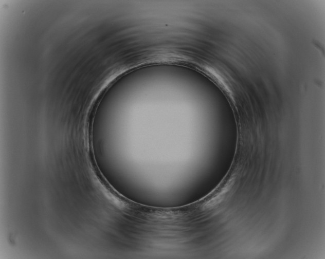 X0000092000843200709061238