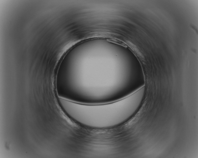 X0000092000846200709061239