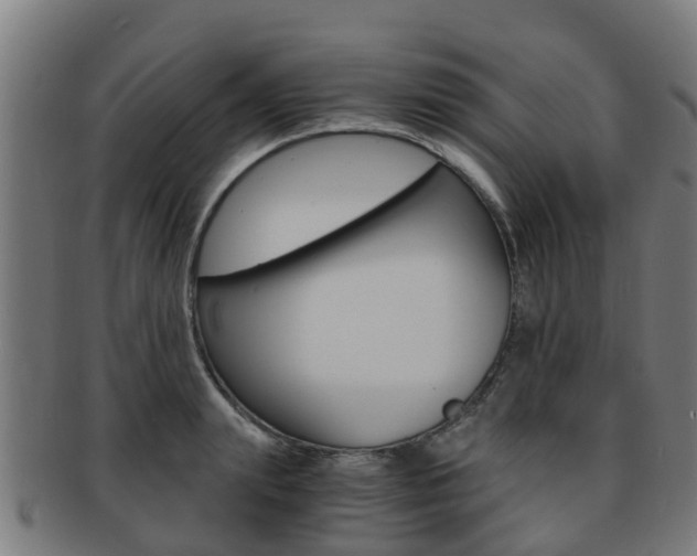 X0000092000847200709061239