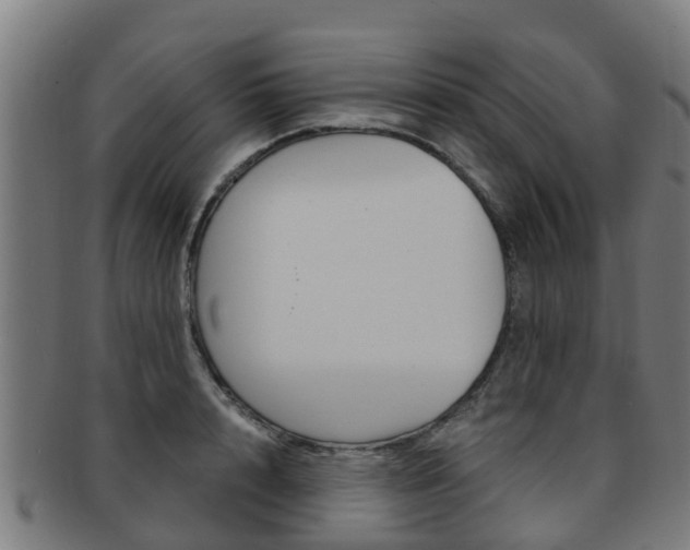 X0000092000848200709061239