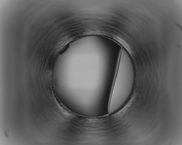 X0000092000849200709061239