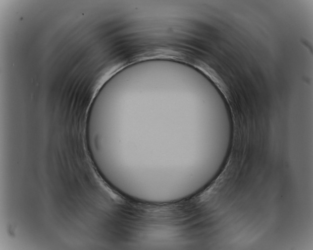 X0000092000850200709061239