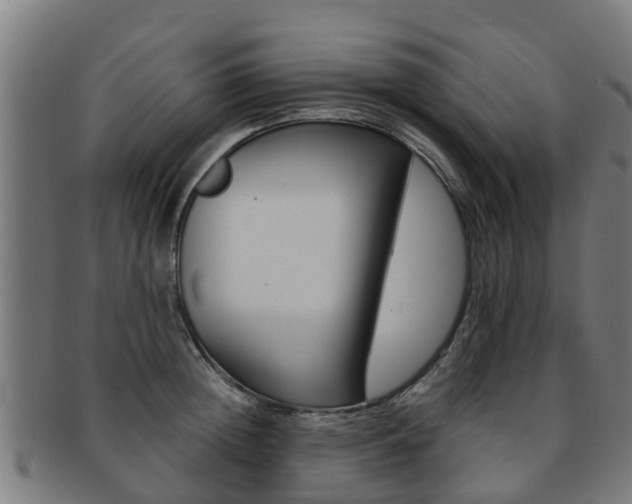 X0000092000852200709061239