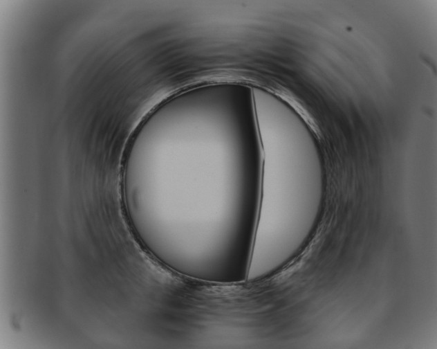 X0000092000853200709061239