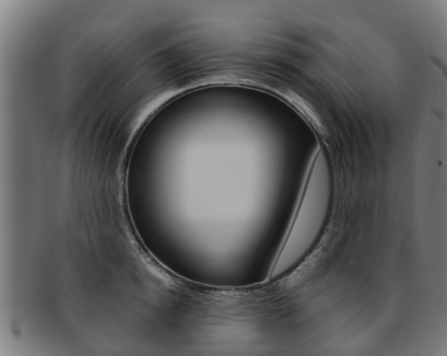X0000092000854200709061239