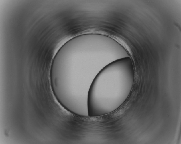 X0000092000855200709061239