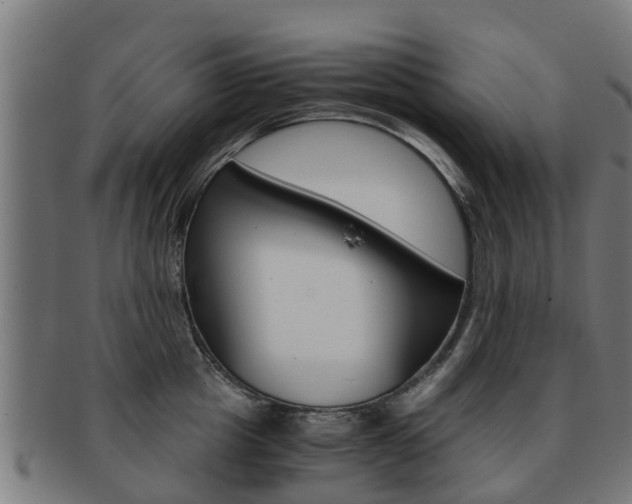 X0000092000857200709061239