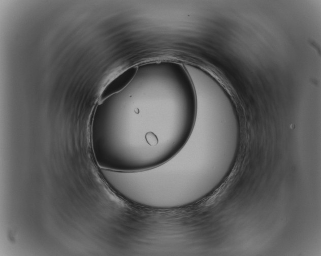 X0000092000858200709061239