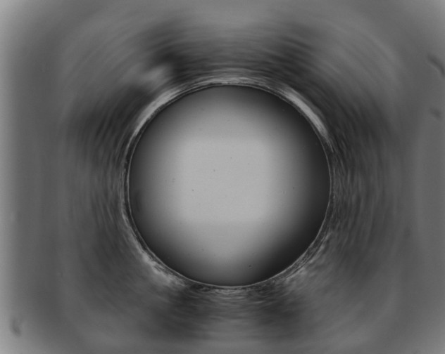 X0000092000861200709061239