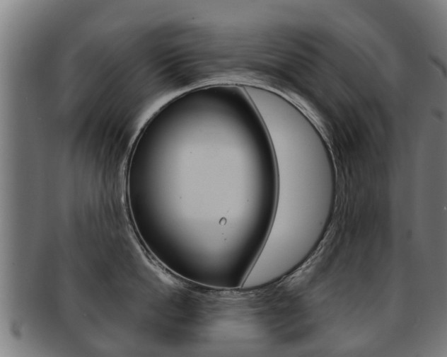 X0000092000862200709061239
