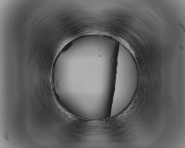 X0000092000863200709061239