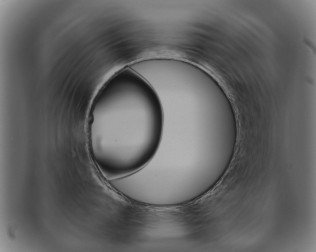 X0000092000864200709061239