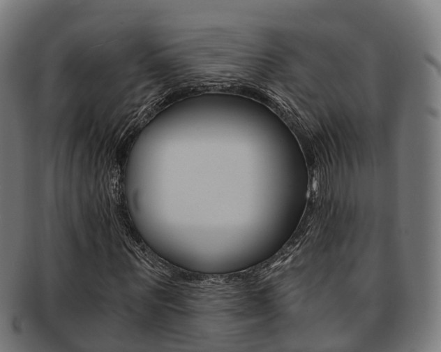 X0000092000867200709061238