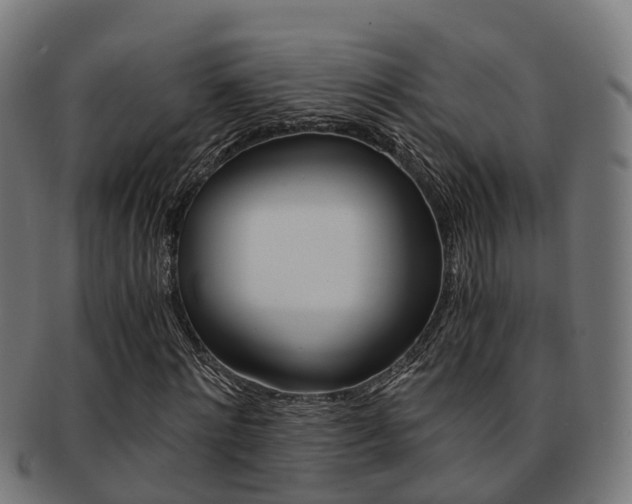 X0000092000868200709061238