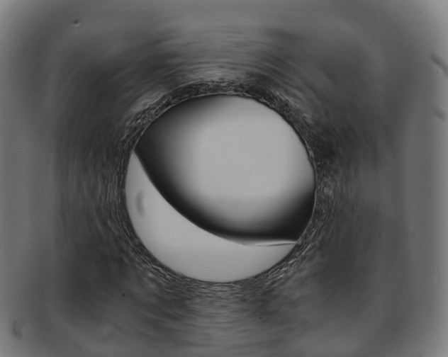 X0000092000869200709061238