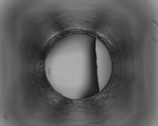 X0000092000870200709061238