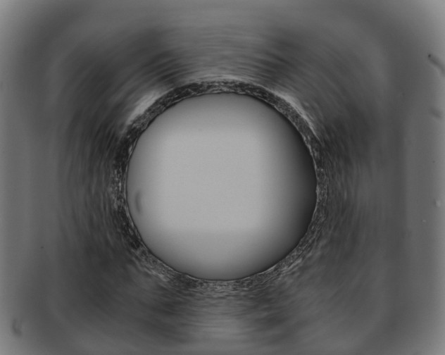 X0000092000871200709061238